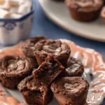 mini brownies